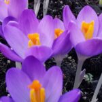 IMG_20260227_162902
